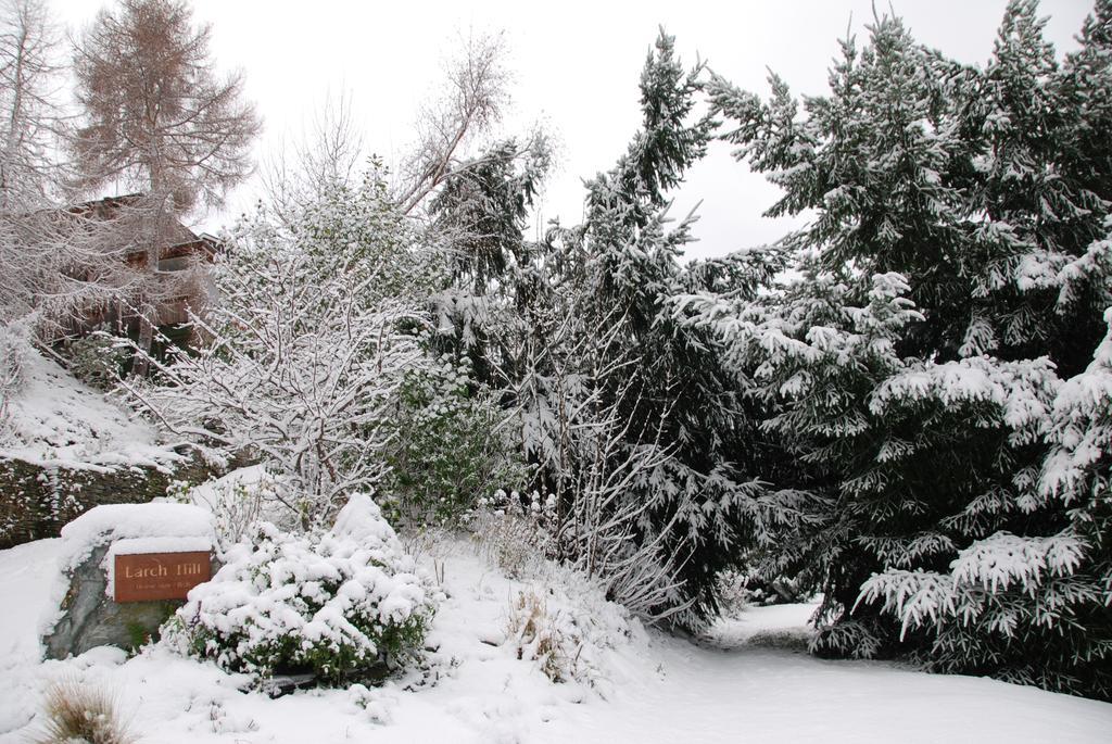 Bed and Breakfast Larch Hill Bed & Breakfast Квинстаун Экстерьер фото
